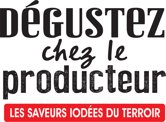 dégustation chez le producteur huîtres moules coquillages en Charente Maritime